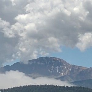 Meet your Posher, Michele